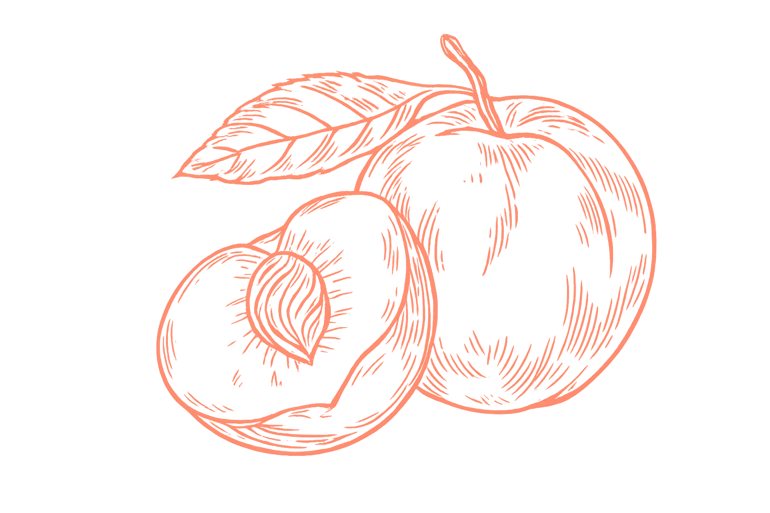 桃